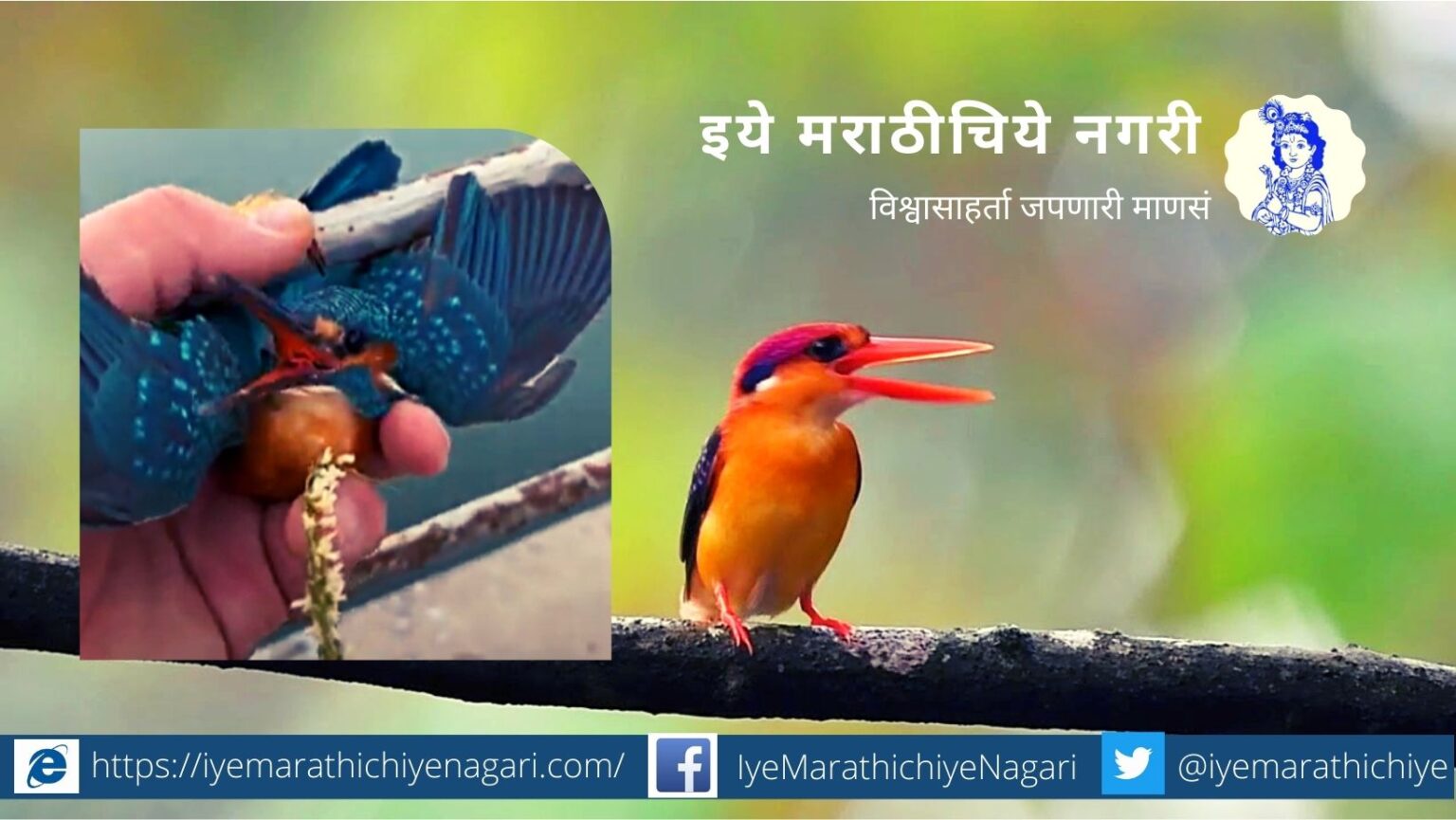Kingfisher Call viral Video