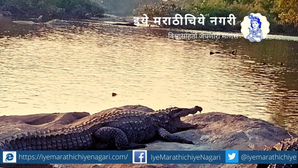 Ranganathittu Bird Sanctuary in Mandya district