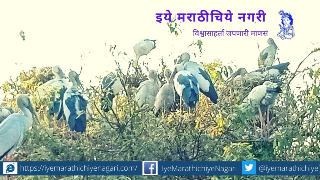 Ranganathittu Bird Sanctuary in Mandya district