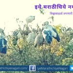 Ranganathittu Bird Sanctuary in Mandya district