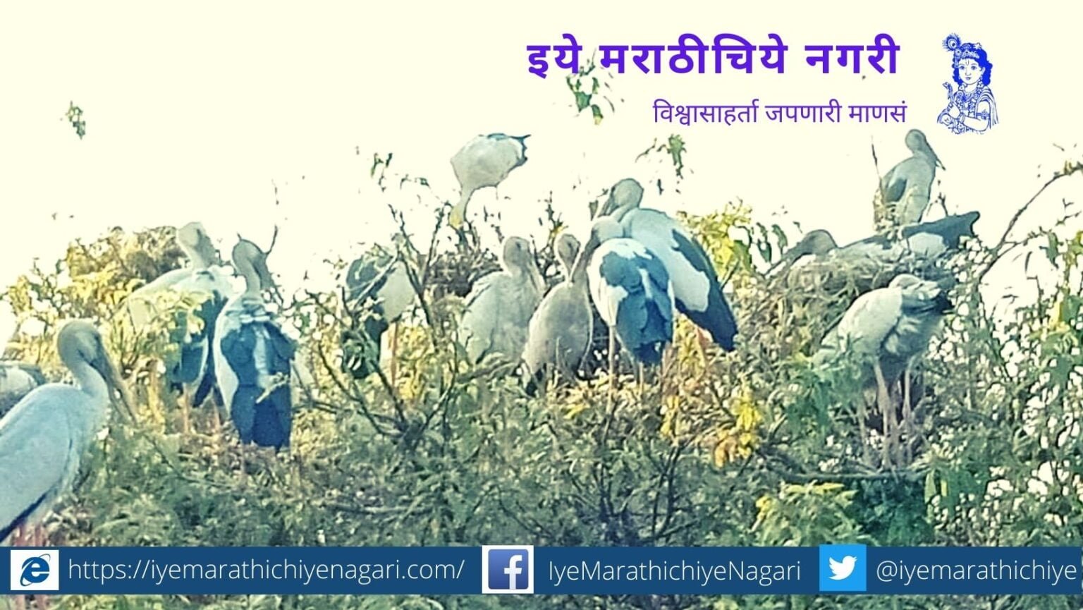 Ranganathittu Bird Sanctuary in Mandya district