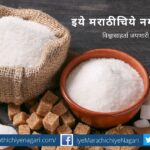 about-the-investment-in-shares-of-sugar-companies