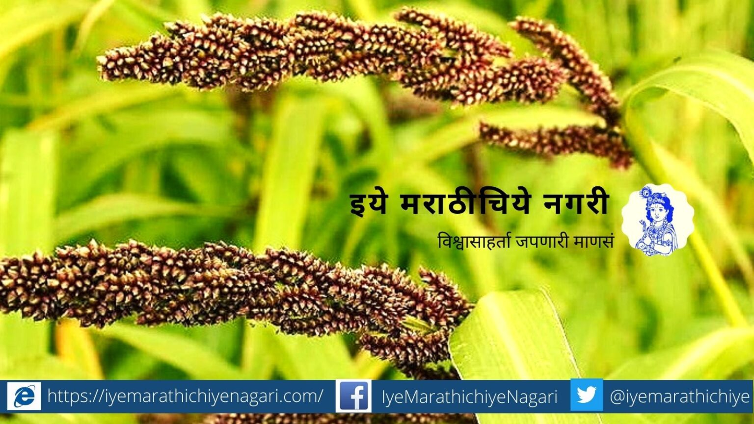 barnyard Millet article by Prashant Daithankar