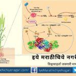 GM Bacteria To Provide Nitrogen to Crop
