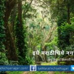 Increase in Forest Cover in India