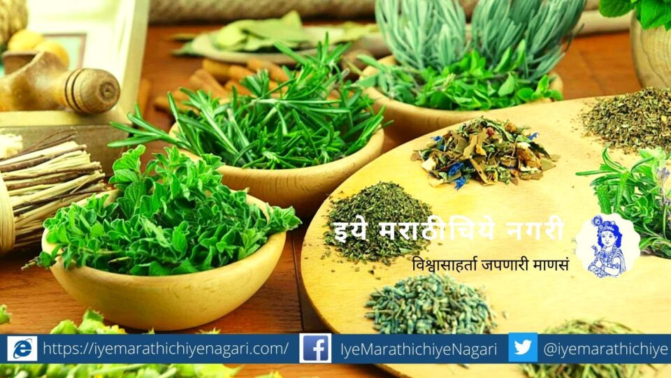 Know about the season of collection of Seeds