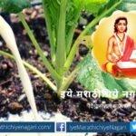 Need for in-depth research on milk as a good organic fertilizer