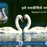 Rajhans character article by Rajendra Ghorpade