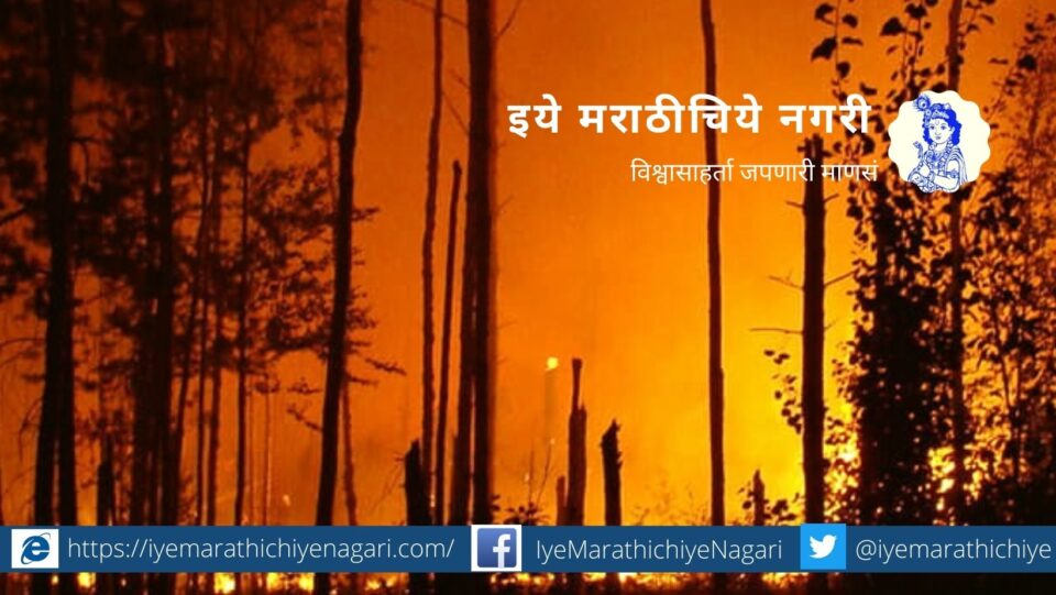 goa-alerted-about-forest-fire-and-took steps to control incidence