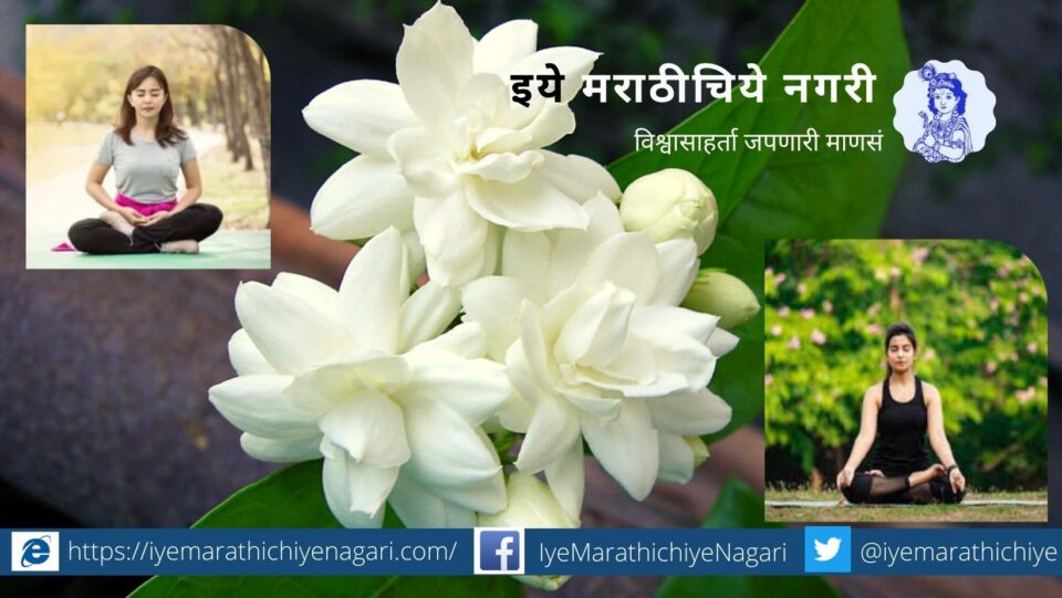 mind-control-tips-article-by-pushpa-varkhedkar