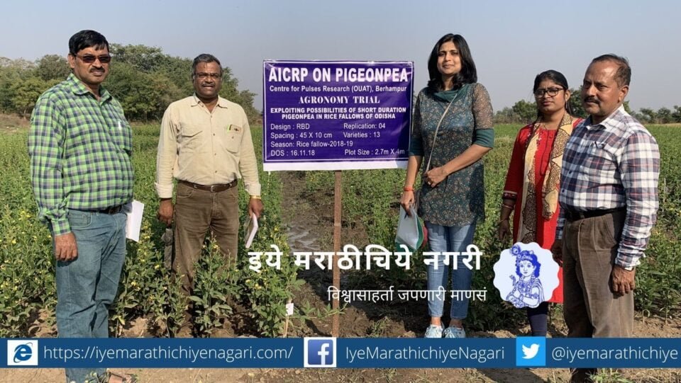 Tur cultivation possible in three season Anupama Hingane article