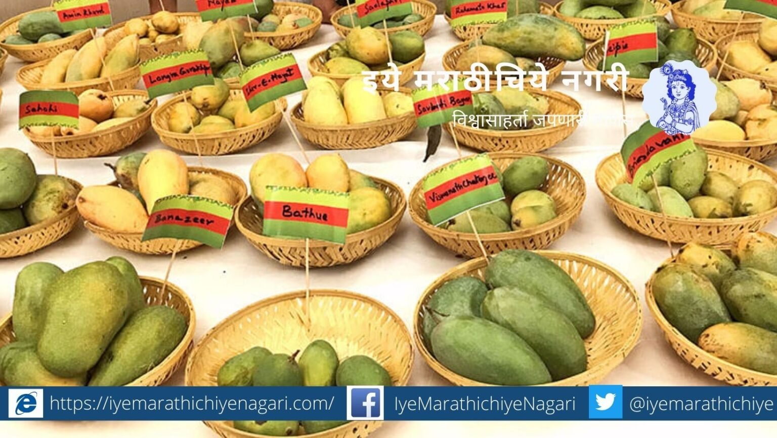 Different Varieties of Mango
