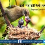 Humanity Rekha Dikshit Poem