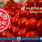 swabhimani-sandeep-jagtap-comment-on-tomato-price-hike