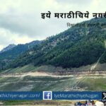 Tourist BIrds and Tree in Kashmir Traveling article Prashant Satpute