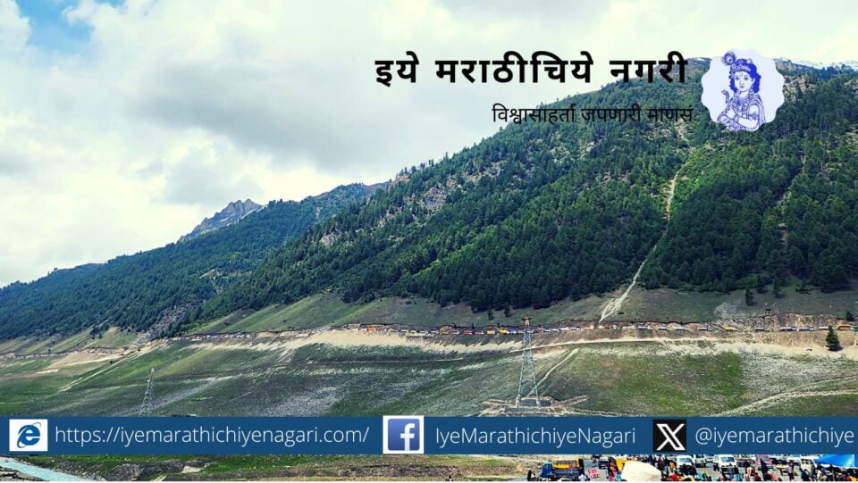 Tourist BIrds and Tree in Kashmir Traveling article Prashant Satpute