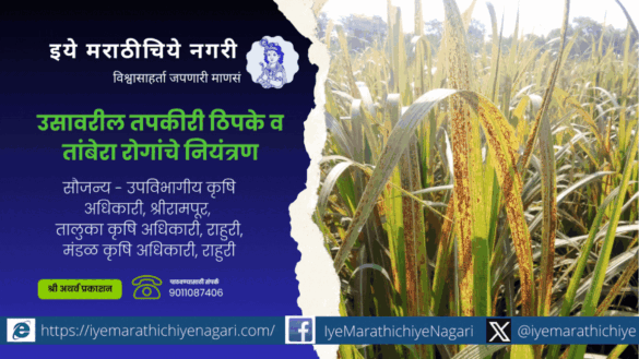 Control of brown spot and coppery rust diseases on sugarcane