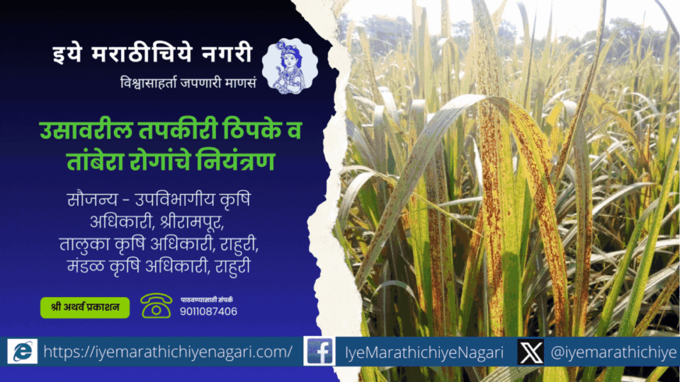 Control of brown spot and coppery rust diseases on sugarcane