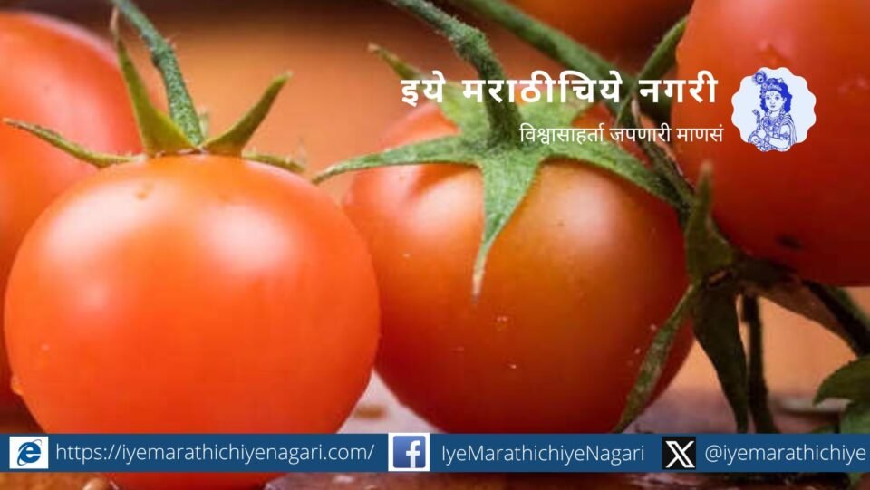 Swabhimani Farmers Organization Demand on Tomato