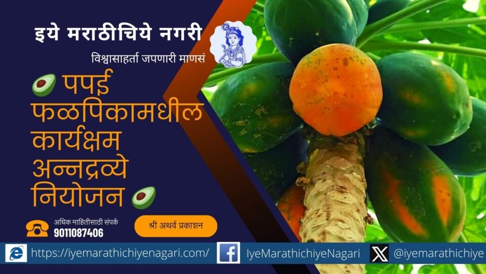 Efficient Nutrient Planning in Papaya Fruit Crops 🥑