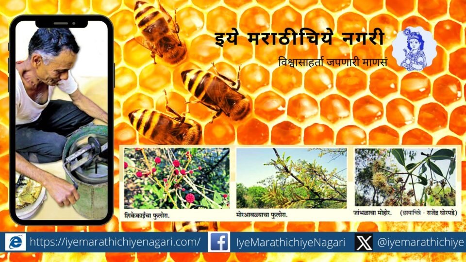 Honey Production in Patgaon special article