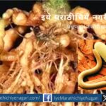 Know the infestation of threadworm and take immediate measures