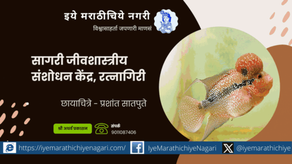 ratnagiri-zhadgaon-marine biological research station tourists spot