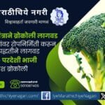 जाती - गणेश ब्रोकोली