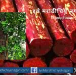 Decision to encourage farmers cultivating red sandalwood