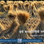 Ethanol production project from rice straw in Punjab for pollution control