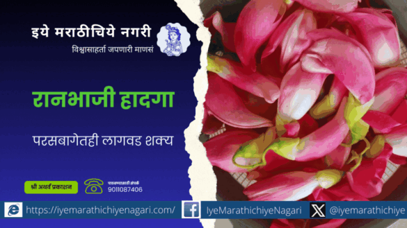 Importance of Hadga sesbania grandiflora