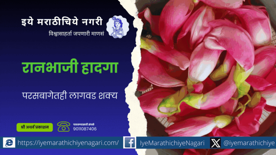 Importance of Hadga sesbania grandiflora