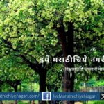Madhukar Bachulkar article on Alstonia scholaris Satvin tree