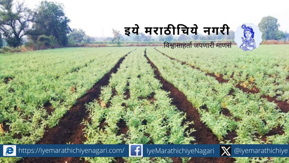 bbf technique of gram cultivation