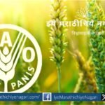 The need to transform India's agri-food system