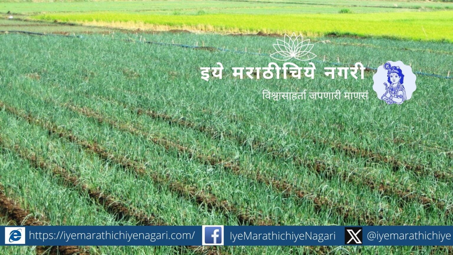 onion-crop-plant-protection-agriculture-advice