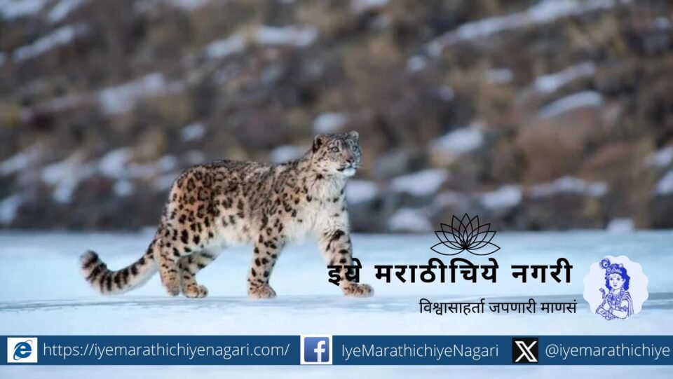 Status Report of Snow Leopards in India published by Bhupendra Yadav