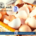 Uses of eggshell research article