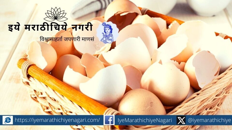 Uses of eggshell research article