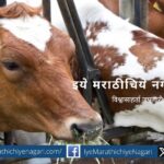 article-on-animal-poisoning