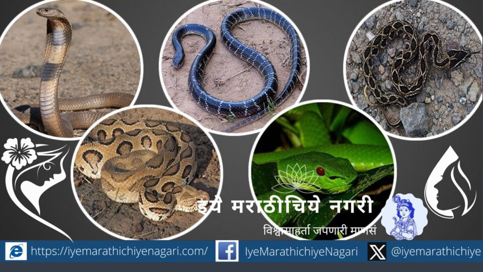 snakebite-in-animals Care and Remedies