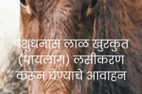 लाळ्या खुरकत रोग नियंत्रण