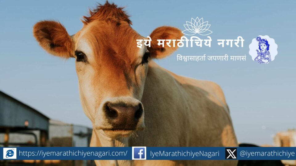 Fetus inflammation in animals