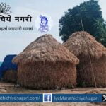 Fodder storage technique article Shirwal College
