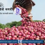 Central government directive to start procurement of 5 lakh tonnes of onion from farmers
