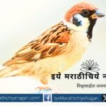 Chandrashekhar Kasar Poem on Sparrow