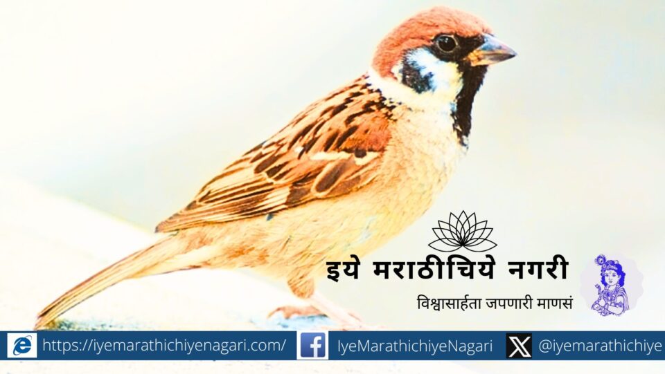 Chandrashekhar Kasar Poem on Sparrow