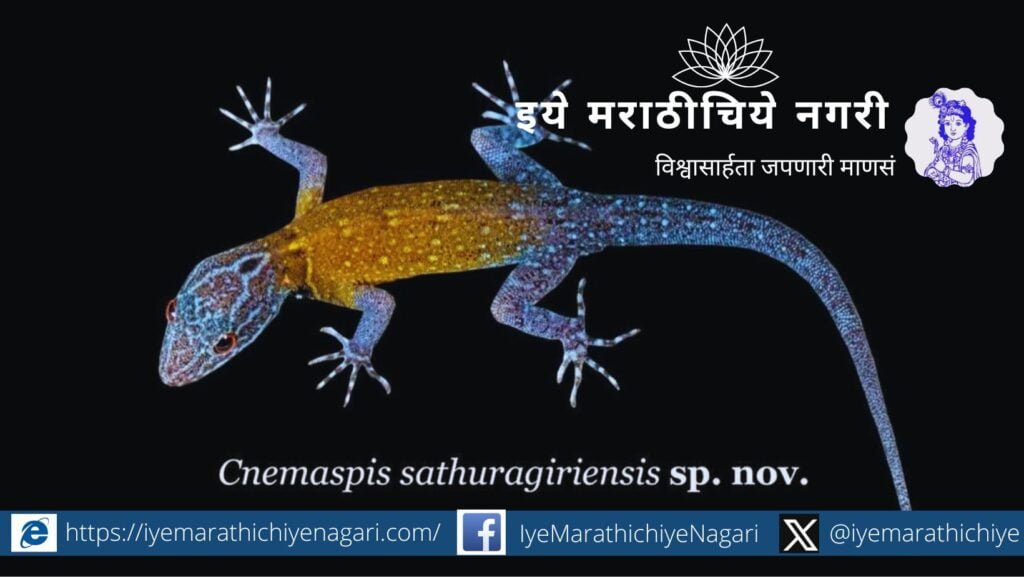 Cnemaspis sathuragiriensis