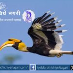 conservation-of-hornbill conference in Devrukh