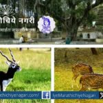 Fauna Census in Sagareshwar Sanctuary
